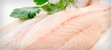 Peixe Panga não oferece riscos