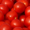Alimentos: diga não ao desperdício!
