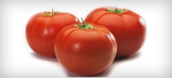 Como fazer molho de tomate caseiro