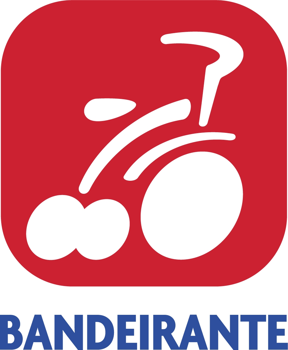 BRINQUEDOS BANDEIRANTES logo